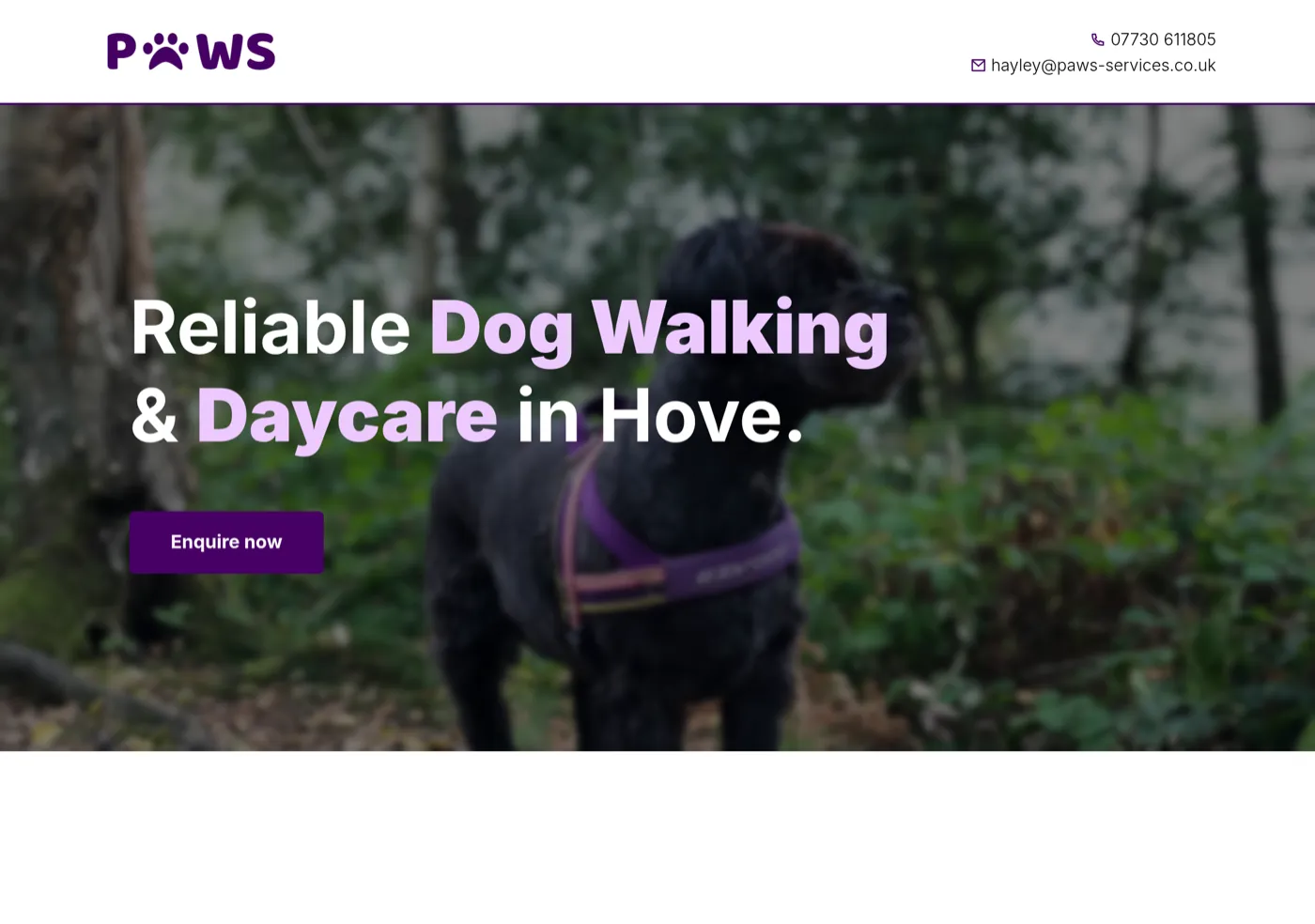 The Paws Services website, designed and built by DACCAA